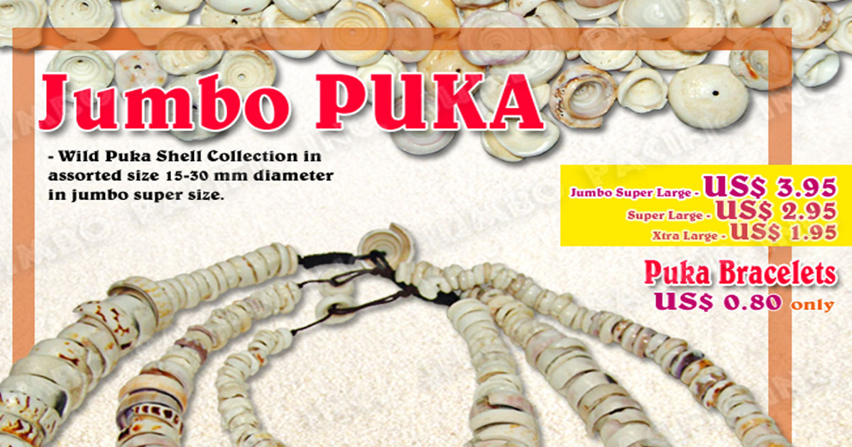 Puka Shell Wholesale Philippine Puka Shell Supplier Puka Seashells