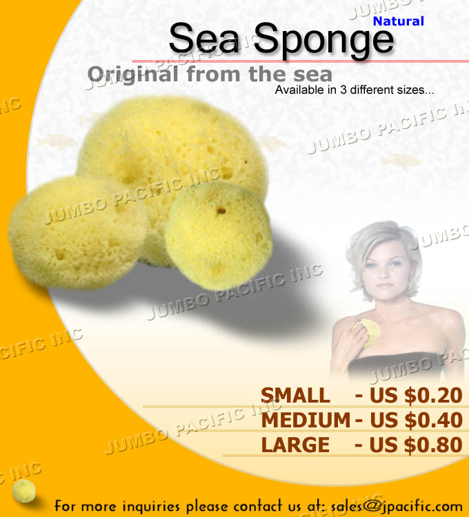 Natural Sponge Collection